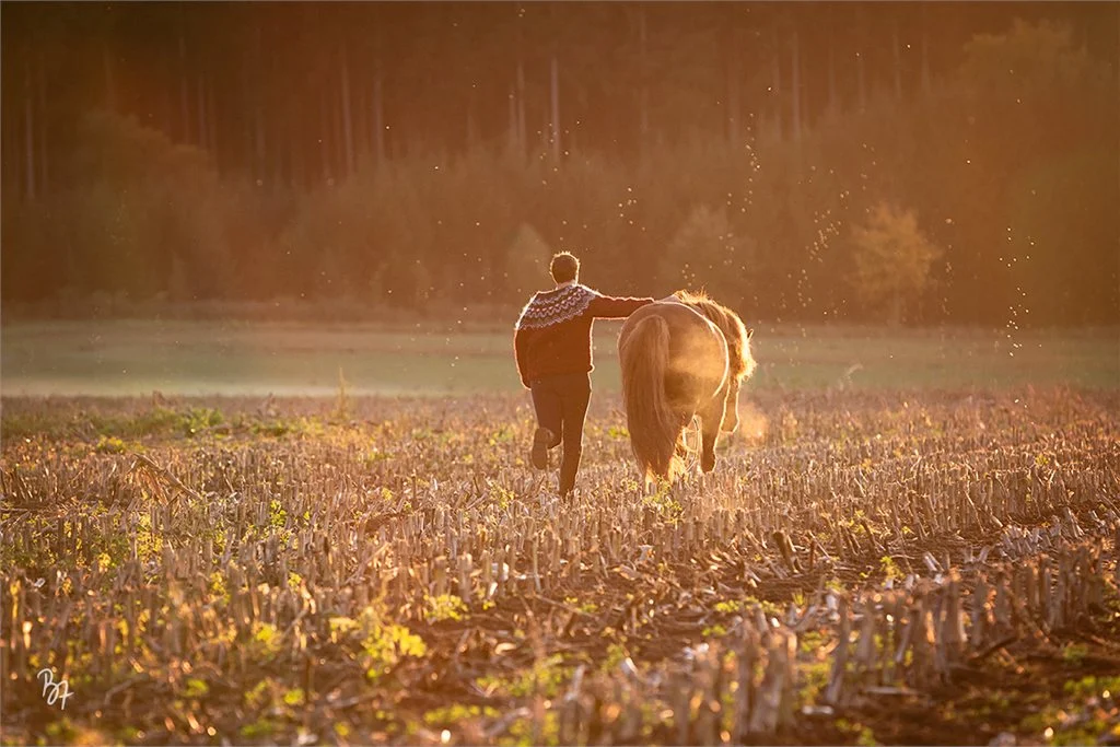 Kerstin Kubick mit Pferd in Abendstimmung
