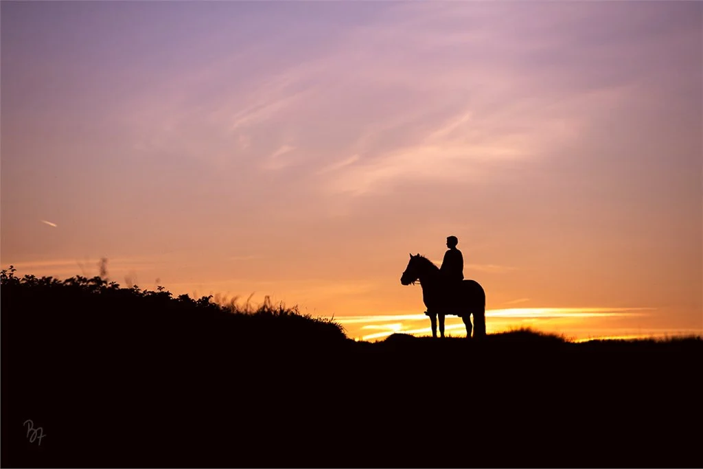 Reiterin mit Pferd in der Abenddämmerung